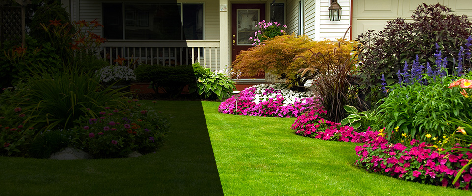 Amesbury Landscapers