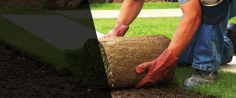 Amesbury Landscapers